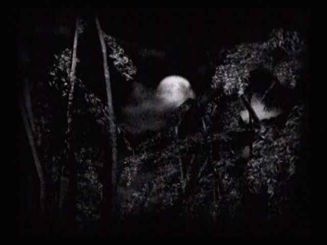 Fatal Frame screenshot 4 for Playstation 2